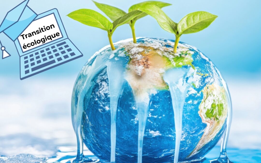 Former ses équipes aux enjeux climatiques